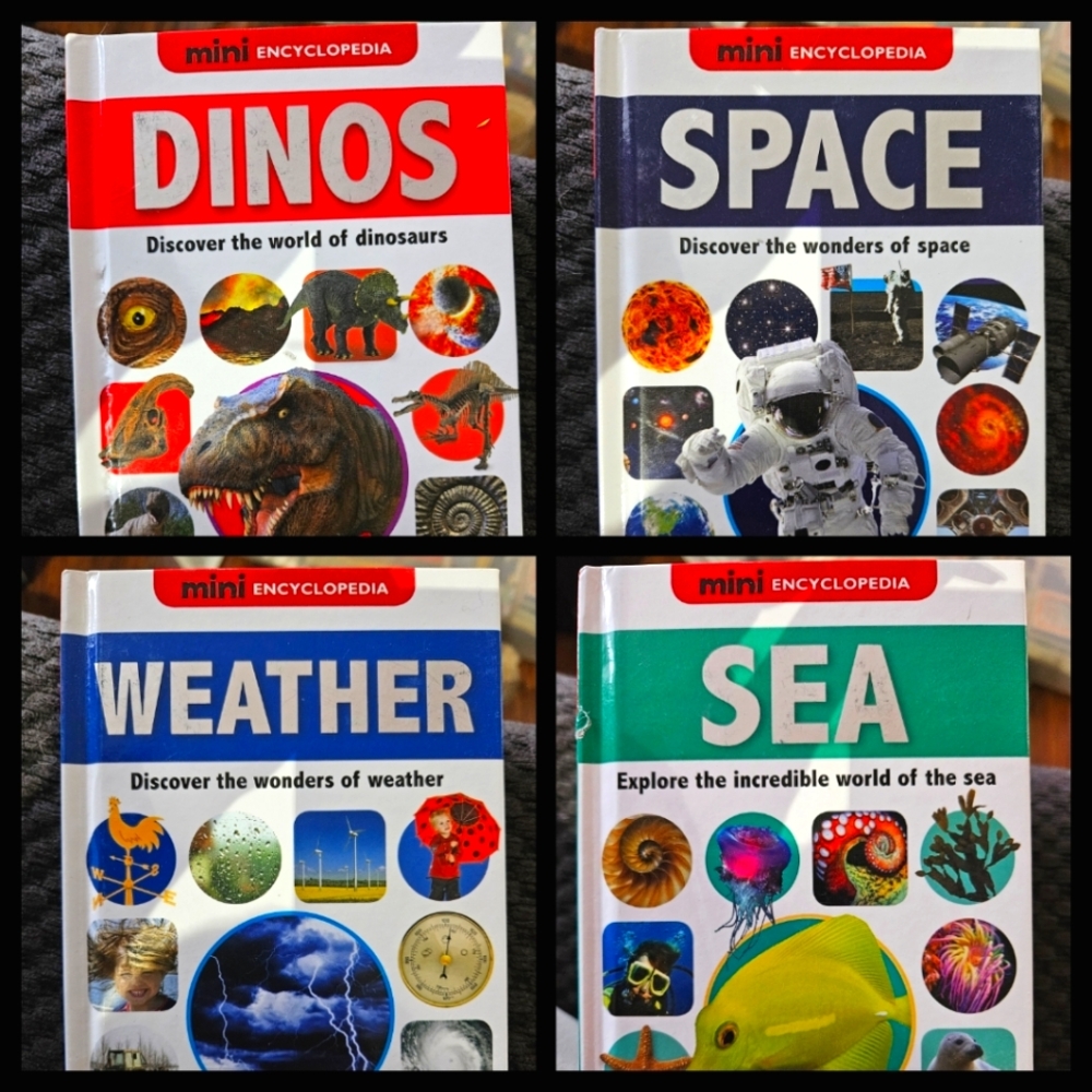 Mini Enycyclopedia Kids Books